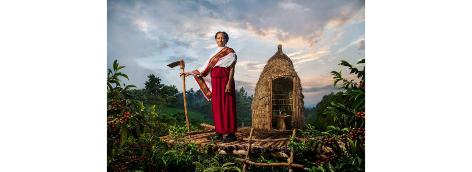 5 невідомих фактів про бренд Lavazza