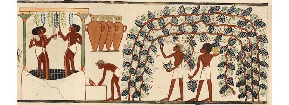 Що пили європейці до виникнення кави?