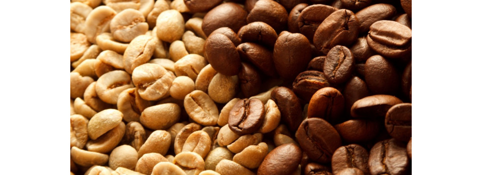 Біла кава: плинний тренд чи новий цікавий продукт?