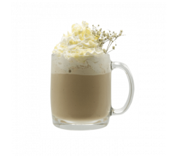 Monin White Chocolate Syrup 700 ml