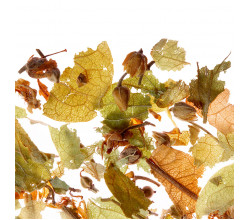 Чай листовий Althaus Japanese Linden 75 г